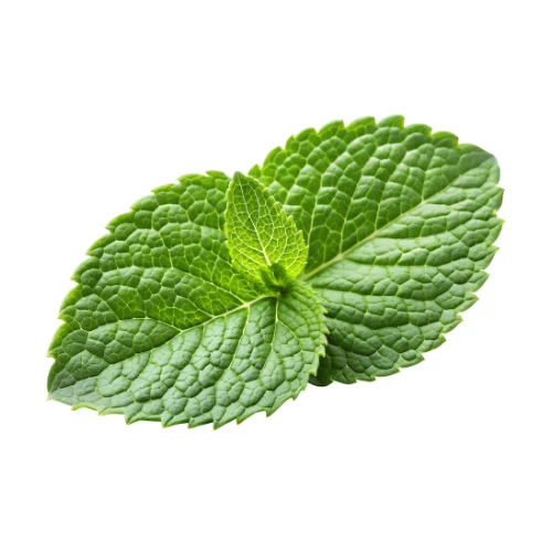 Mint (Menta) (Hangsen) 10ml
