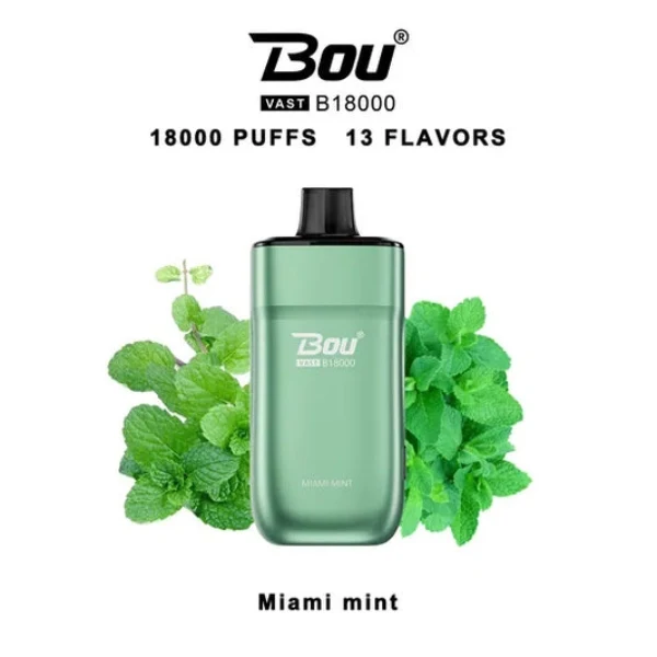 Bou VAST B1800 Miami Mints 0% Nic.
