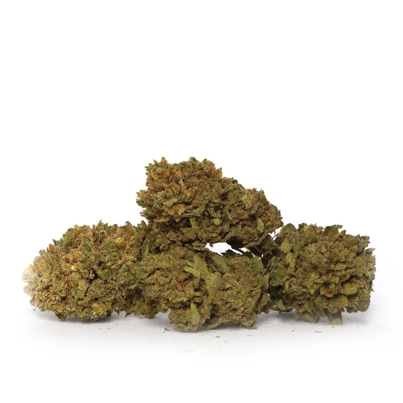 Lemon [Indoor]