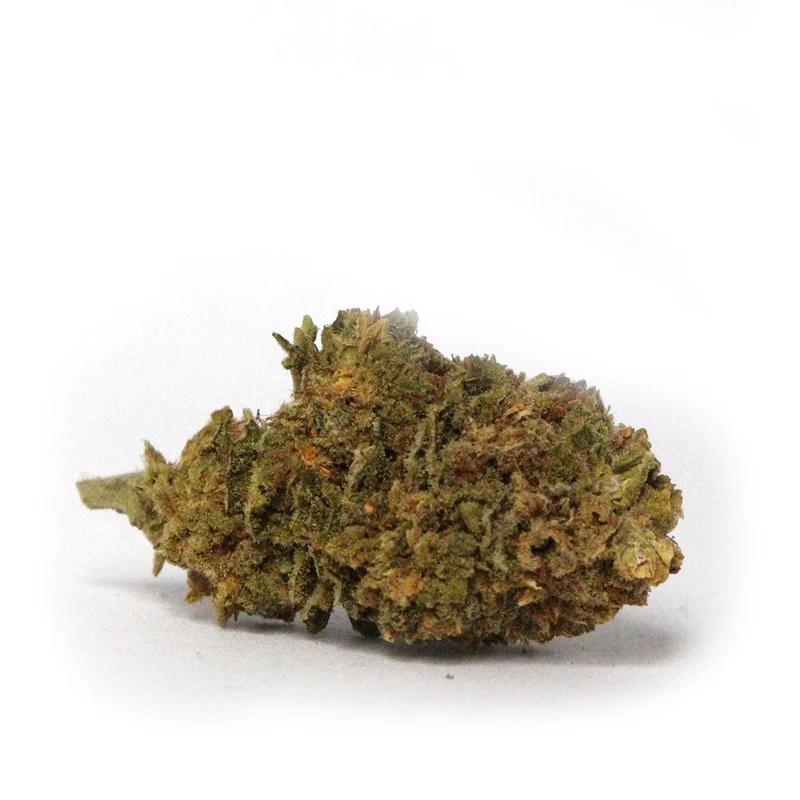 Lemon [Indoor]