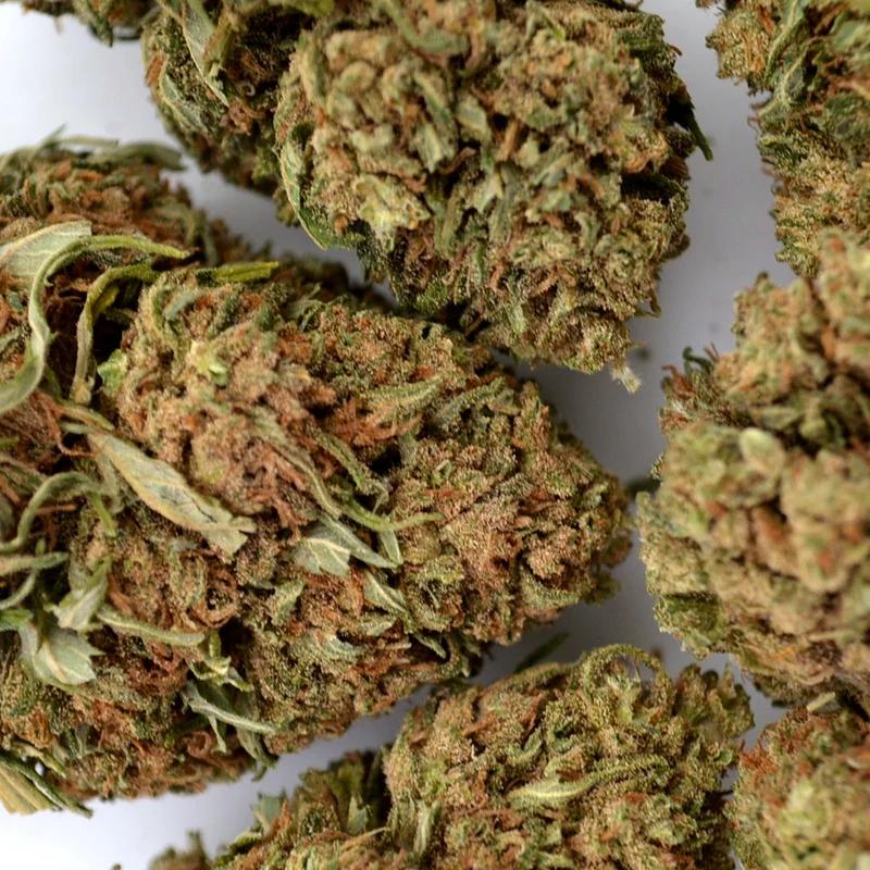 Pineapple Express [Interior]