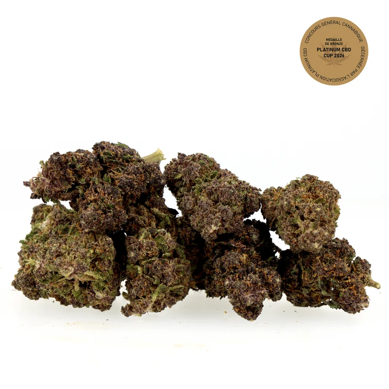 Black Diamond [Greenhouse]