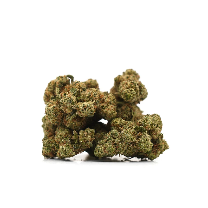 Plutonio CBD [Hidroponía] [Hidroponía