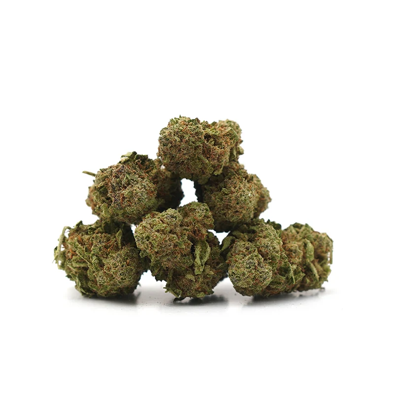 Critical [Indoor]