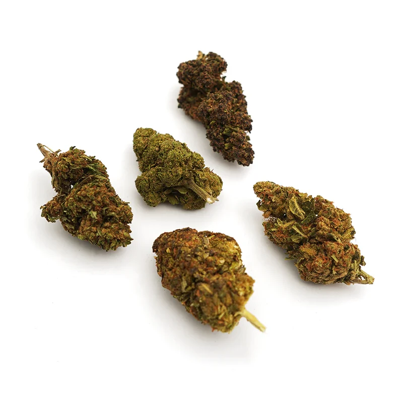 Flower Discovery Pack
