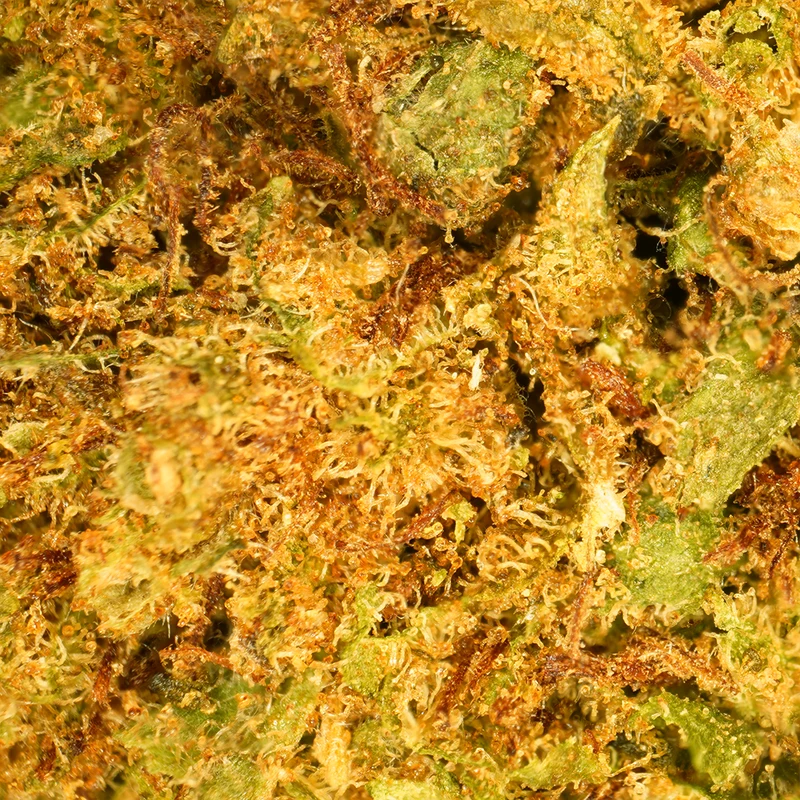 Petites Têtes OG Kush [Greenhouse]Francés