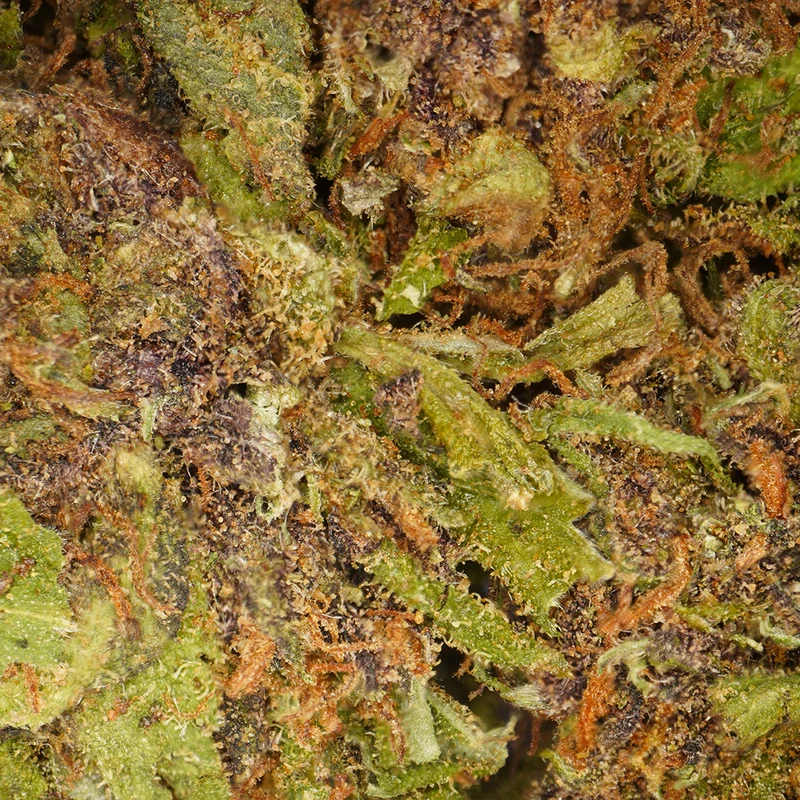 Diesel amargo [Greenhouse]
