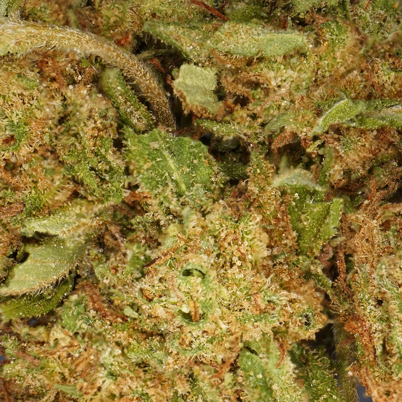 Bubba Kush CBD [Greenhouse]