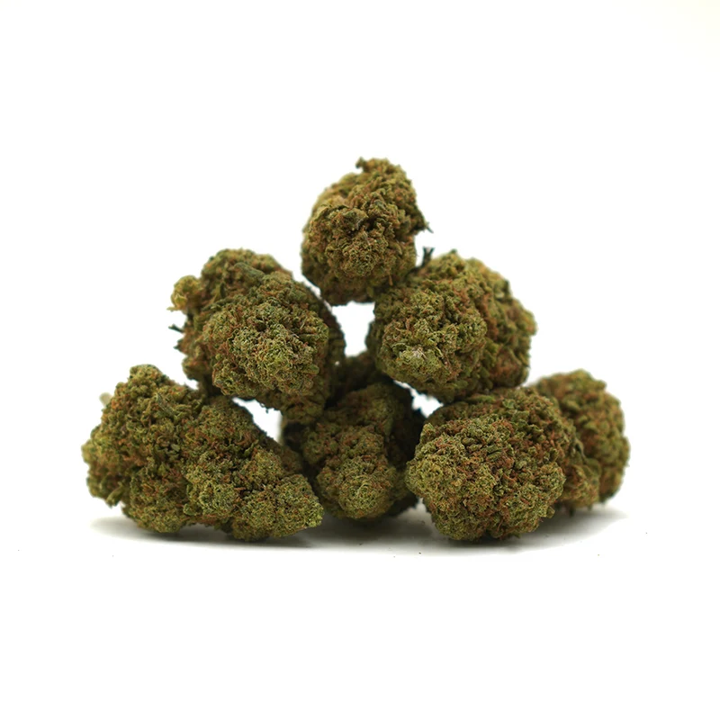 Amnesia [Greenhouse]