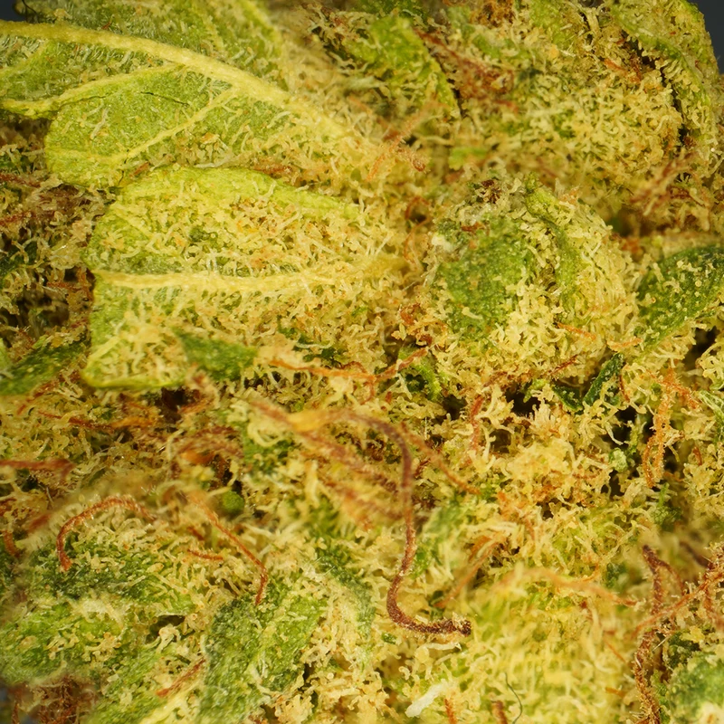 L.A Cali CBD [Hidroponía] [Hidroponía