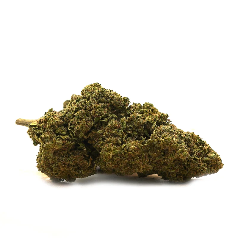 Hawaiano [Indoor]
