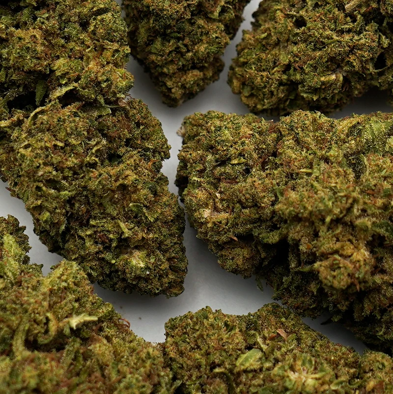 Hawaiano [Indoor]