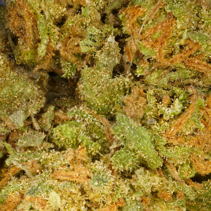 Strawberry [Interior]
