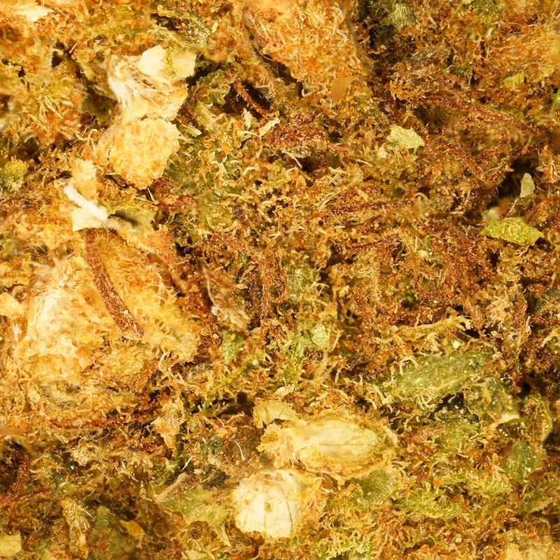 Super Skunk [Greenhouse]