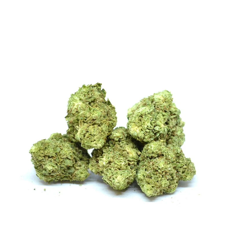 Northern Lights [Greenhouse]