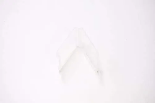 5.3 mL Clear Slim Shatter Container (100 Count)
