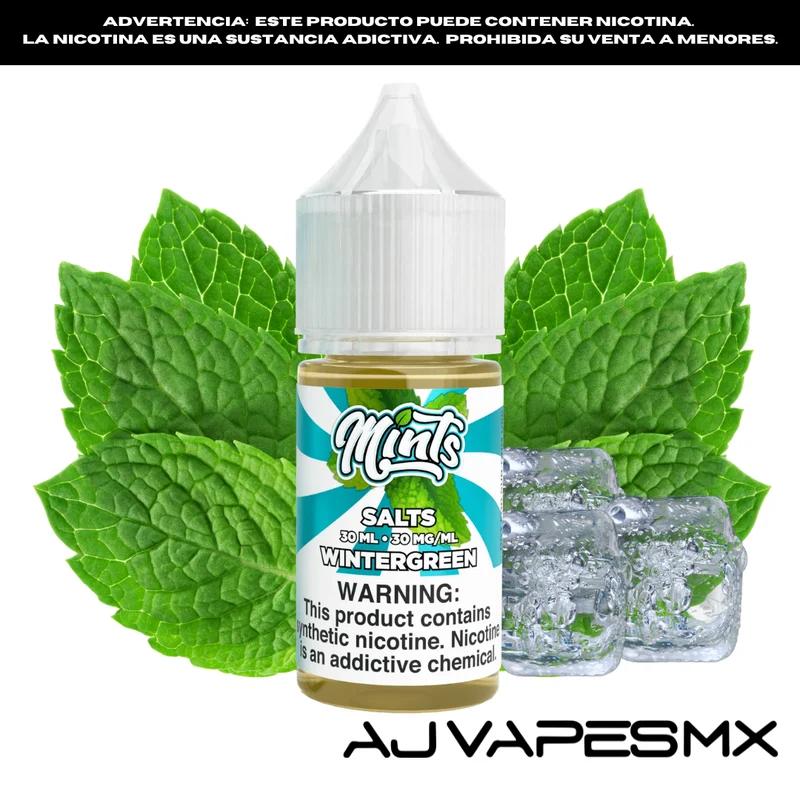 Wintergreen 30ml NicSalt | MINTS